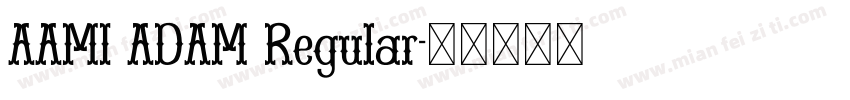 AAMI ADAM Regular字体转换